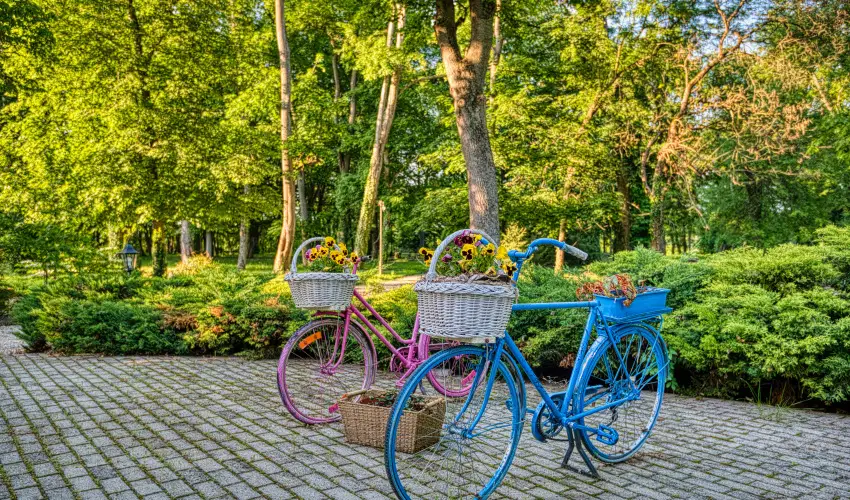 Főnix Wellness Resort Nógrádgárdony - Karácsony (min. 2 éj)