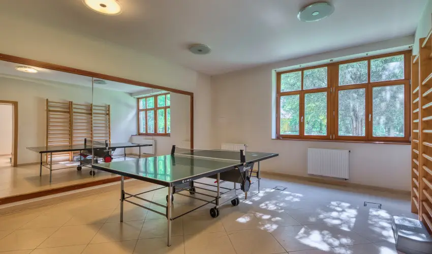 Főnix Wellness Resort Nógrádgárdony - Karácsony (min. 2 éj)