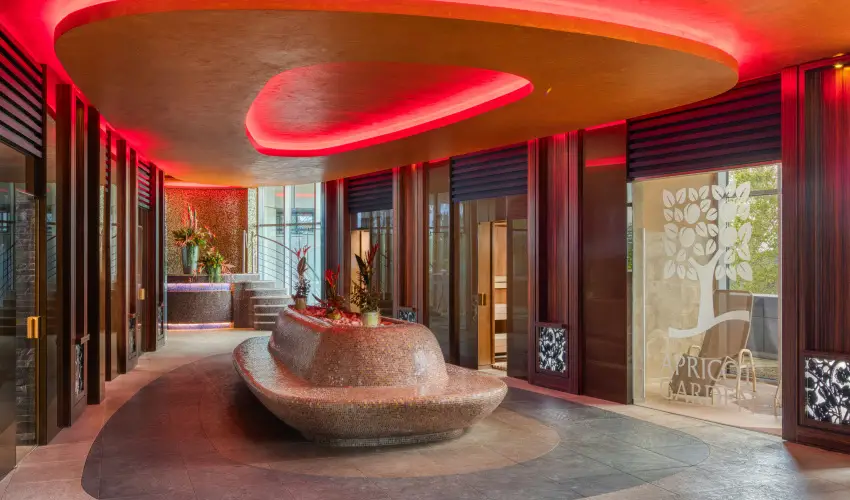 Four Points by Sheraton Kecskem�t Hotel & Konferenciak�zpont Kecskem�t - Kar�csony