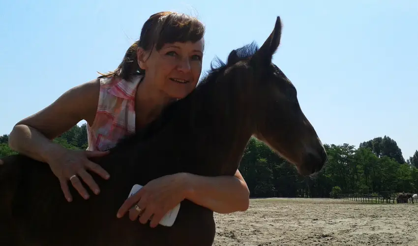 Geréby Kúria Hotel és Lovasudvar Lajosmizse - Karácsony