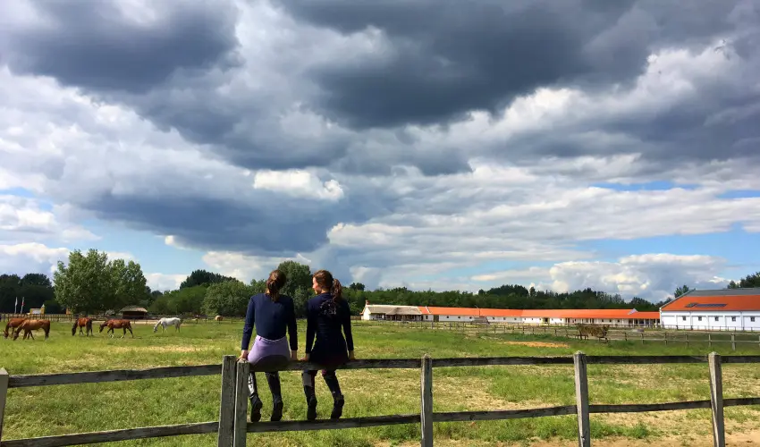 Geréby Kúria Hotel és Lovasudvar Lajosmizse - Karácsony