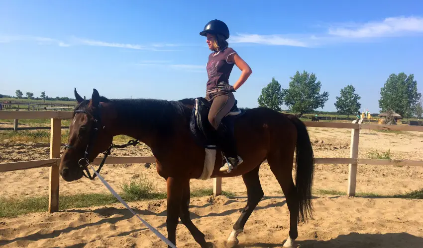 Geréby Kúria Hotel és Lovasudvar Lajosmizse - Karácsony