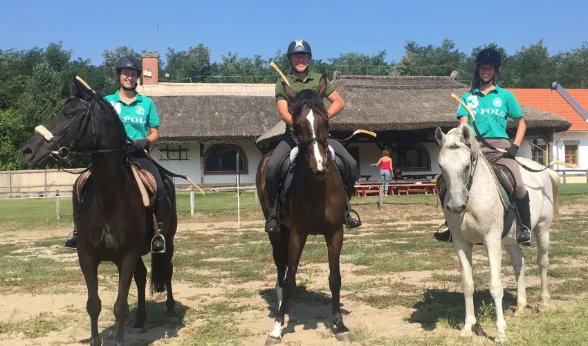 Geréby Kúria Hotel és Lovasudvar Lajosmizse - Karácsony