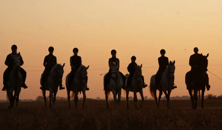 Geréby Kúria Hotel és Lovasudvar Lajosmizse - Karácsony
