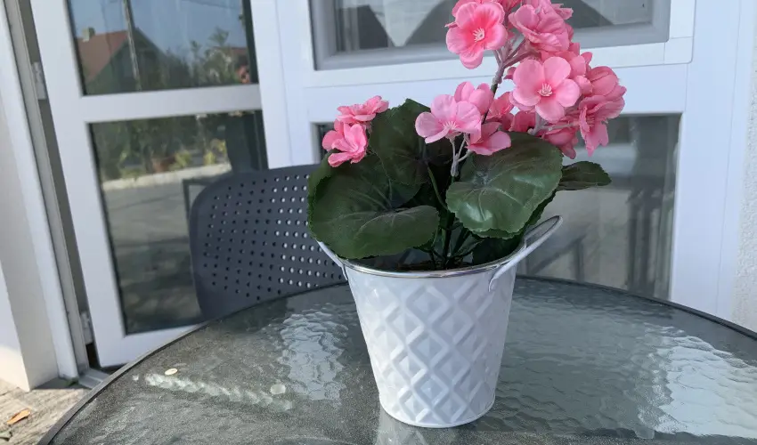 Mese Panzió Zalakaros - Karácsony (min. 2 éj)