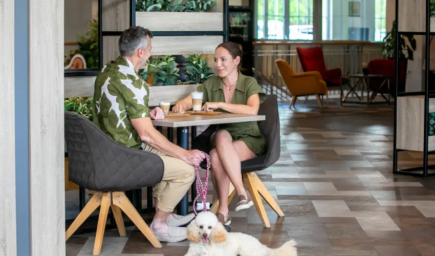 Gotthard Therme Hotel & Conference Szentgotthrd - Karcsony - teljes elrefizetssel