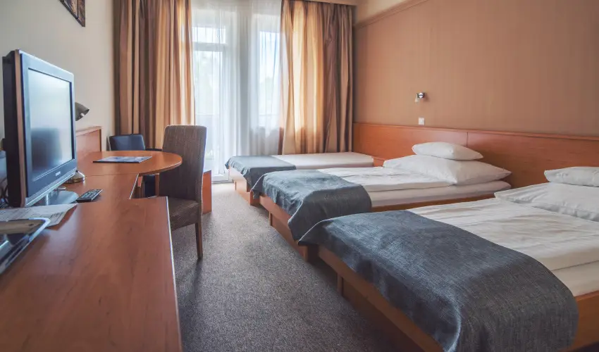 Granada Konferencia Wellness és Sport Hotel Kecskemét - Karácsony