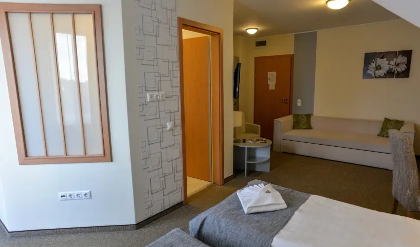 Granada Konferencia Wellness és Sport Hotel Kecskemét - Karácsony