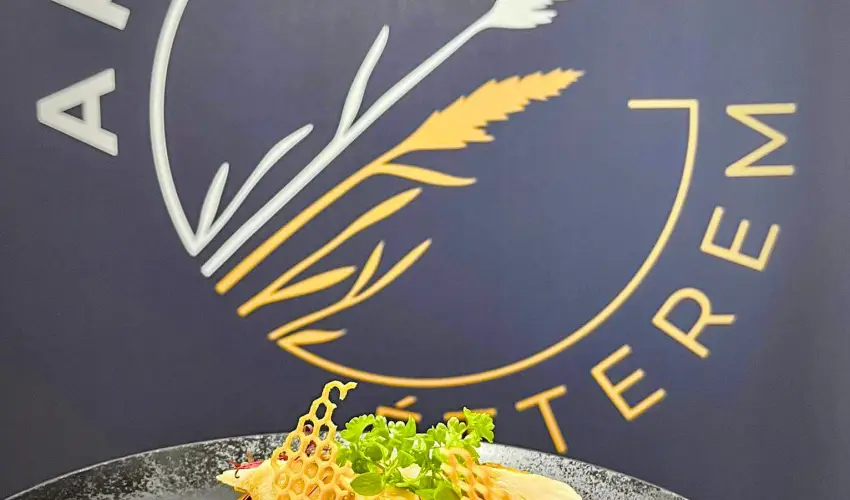 Gyirmt Sport & Wellness Hotel Gyr - Karcsony (min. 3 j)