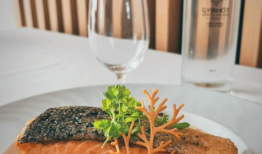 Gyirmt Sport & Wellness Hotel Gyr - Karcsony (min. 3 j)