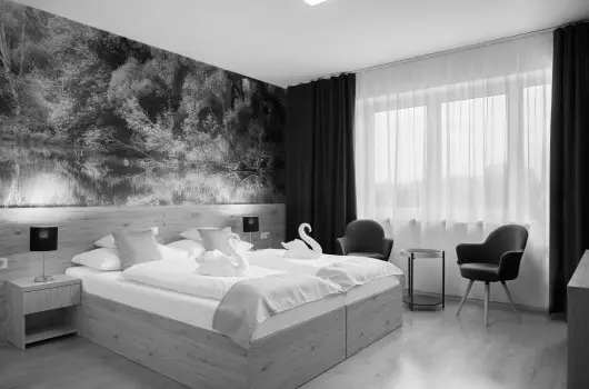 Gyirm�t Sport & Wellness Hotel - Kar�csony