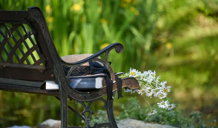 Halhza Vendghz Sirok - Karcsony (min. 2 j)