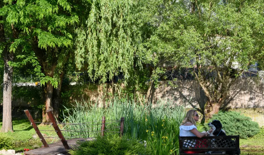 Halhza Vendghz Sirok - Karcsony (min. 2 j)