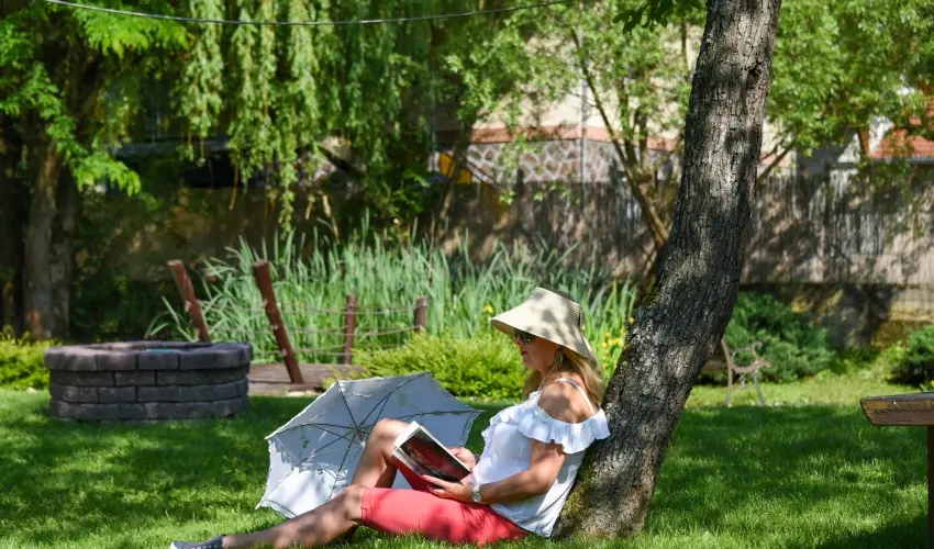 Halhza Vendghz Sirok - Karcsony (min. 2 j)