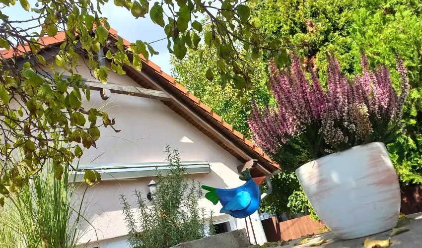 Hanga-lak Velence - Karcsony (min. 2 j)