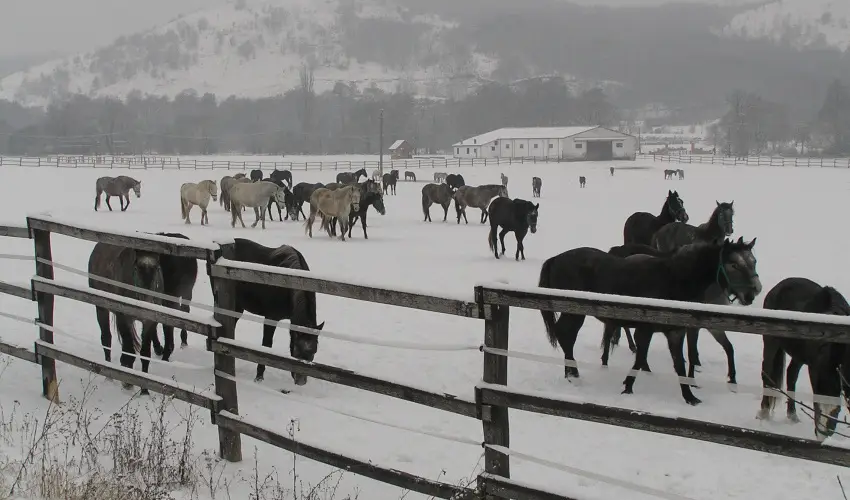 Aliz Villa Szilvsvrad - Karcsony