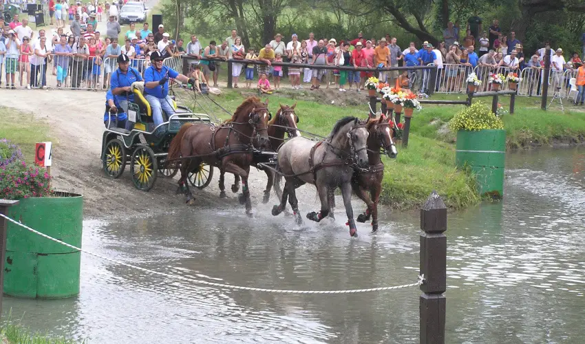 Aliz Villa Szilvsvrad - Karcsony