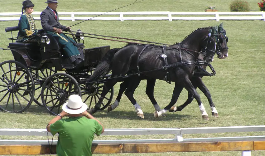 Aliz Villa Szilvsvrad - Karcsony