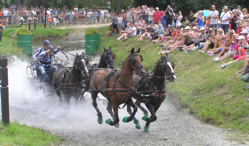 Aliz Villa Szilvsvrad - Karcsony