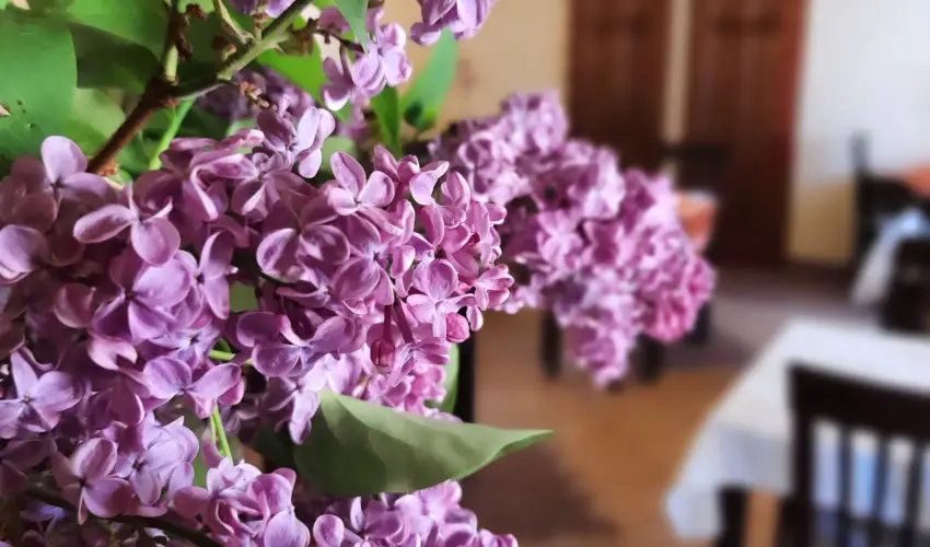 Aliz Villa Szilvsvrad - Karcsony