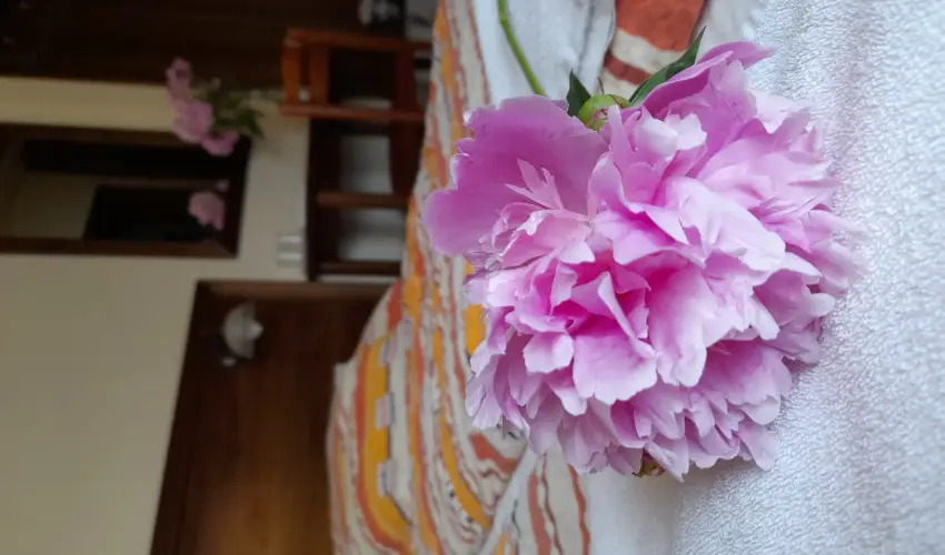 Aliz Villa Szilvsvrad - Karcsony