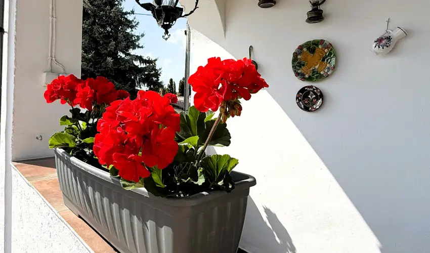 Harmony Vendghz Egerszalk - Karcsony (min. 3 j)