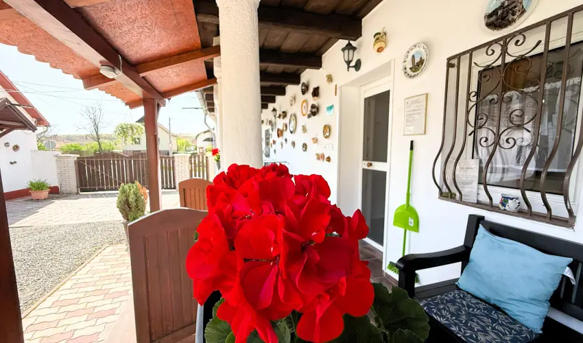 Harmony Vendghz Egerszalk - Karcsony (min. 3 j)