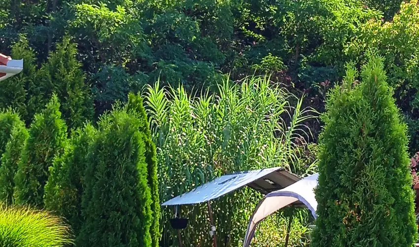 Harmony Vendghz Egerszalk - Karcsony (min. 3 j)