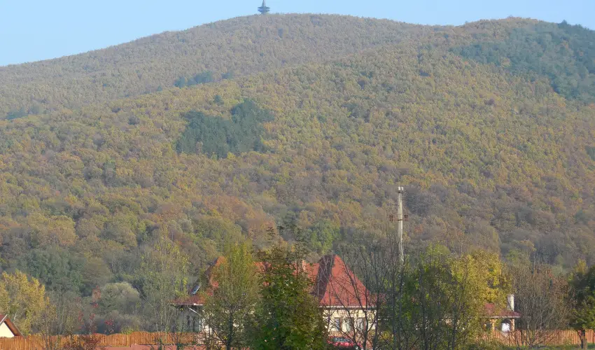 Hegyi Panzi Szilvsvrad - Karcsony (min. 3 j)