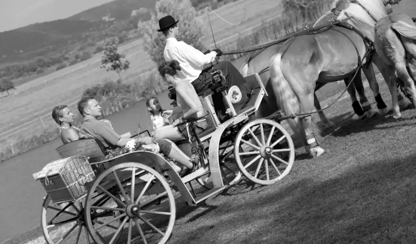 Htkti Wellness Hotel & Lovaspark Mr - Karcsony 