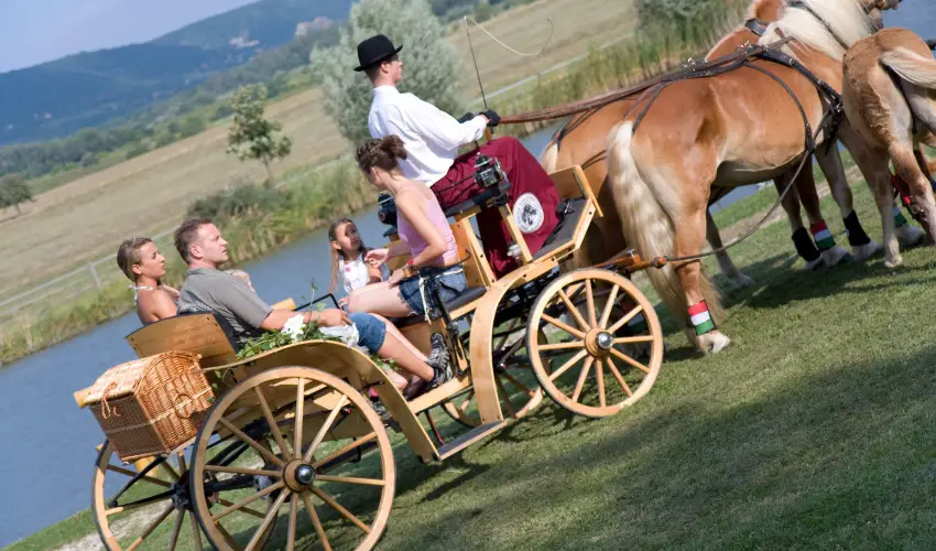 H�tk�ti Wellness Hotel & Lovaspark M�r - Kar�csony 