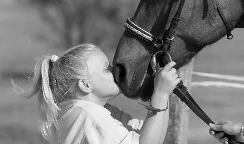 Htkti Wellness Hotel & Lovaspark Mr - Karcsony 