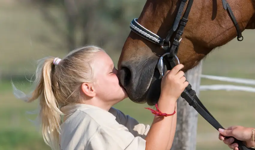 H�tk�ti Wellness Hotel & Lovaspark M�r - Kar�csony 