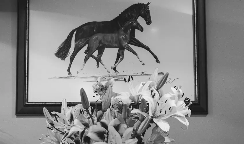 Htkti Wellness Hotel & Lovaspark Mr - Karcsony 