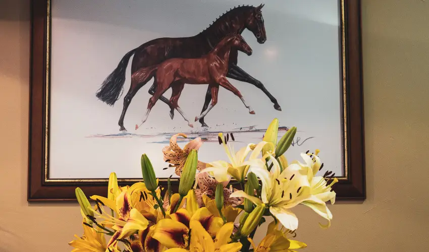 H�tk�ti Wellness Hotel & Lovaspark M�r - Kar�csony 