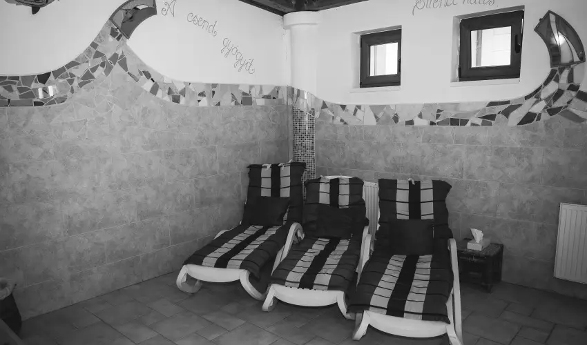 Htkti Wellness Hotel & Lovaspark Mr - Karcsony 