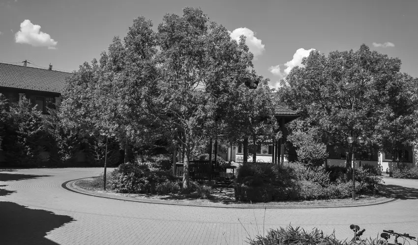 Htkti Wellness Hotel & Lovaspark Mr - Karcsony 