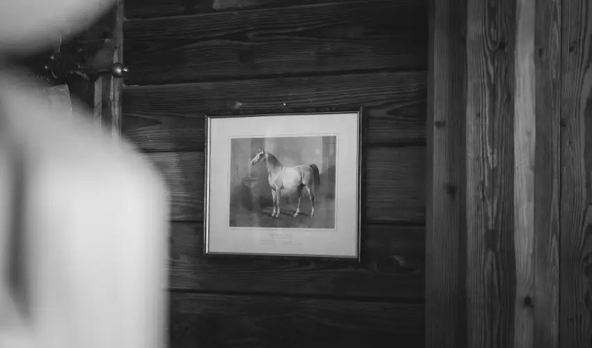 Htkti Wellness Hotel & Lovaspark Mr - Karcsony 