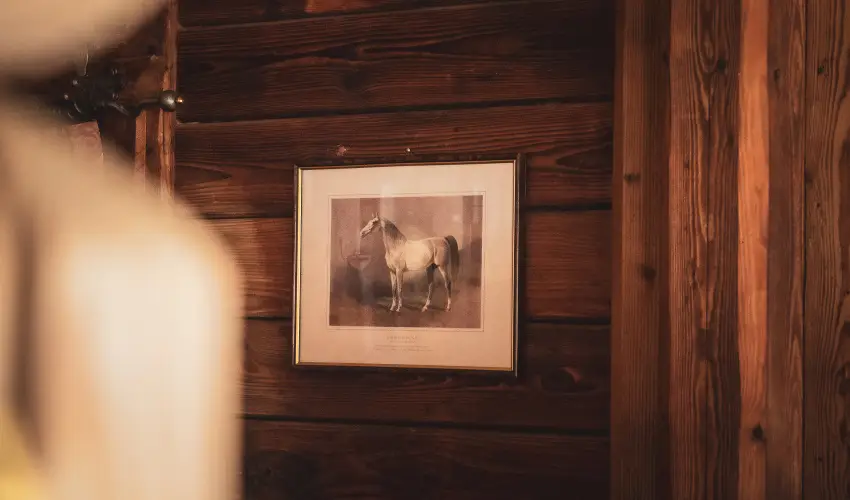 H�tk�ti Wellness Hotel & Lovaspark M�r - Kar�csony 