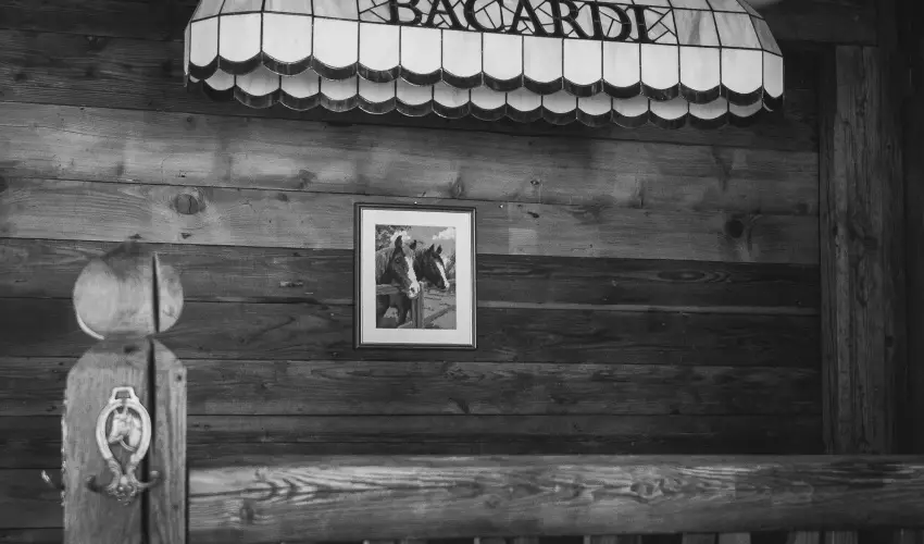 Htkti Wellness Hotel & Lovaspark Mr - Karcsony 