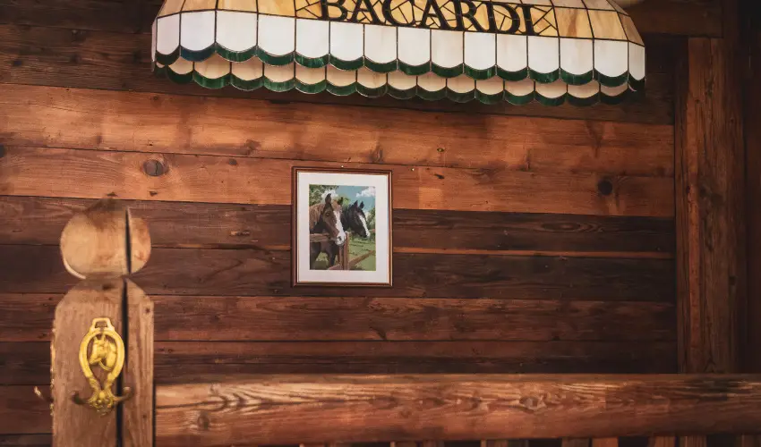 H�tk�ti Wellness Hotel & Lovaspark M�r - Kar�csony 