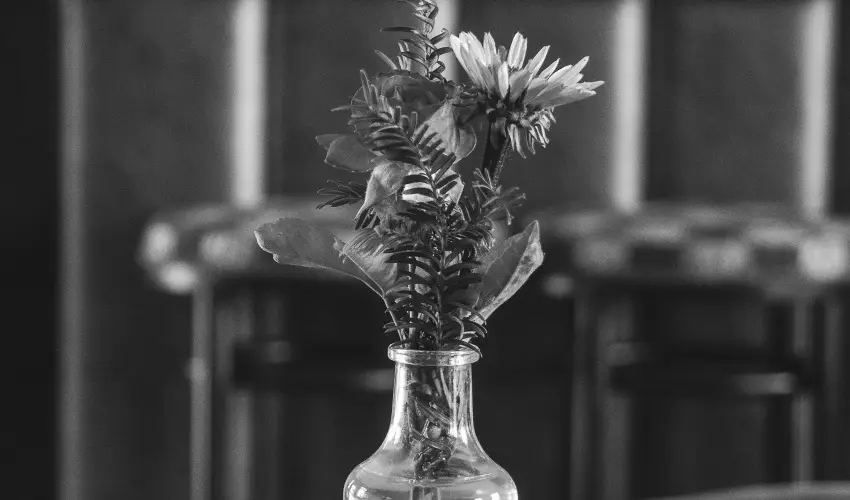 Htkti Wellness Hotel & Lovaspark Mr - Karcsony 