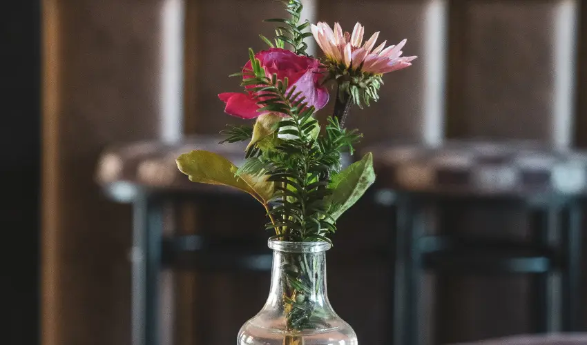 H�tk�ti Wellness Hotel & Lovaspark M�r - Kar�csony 