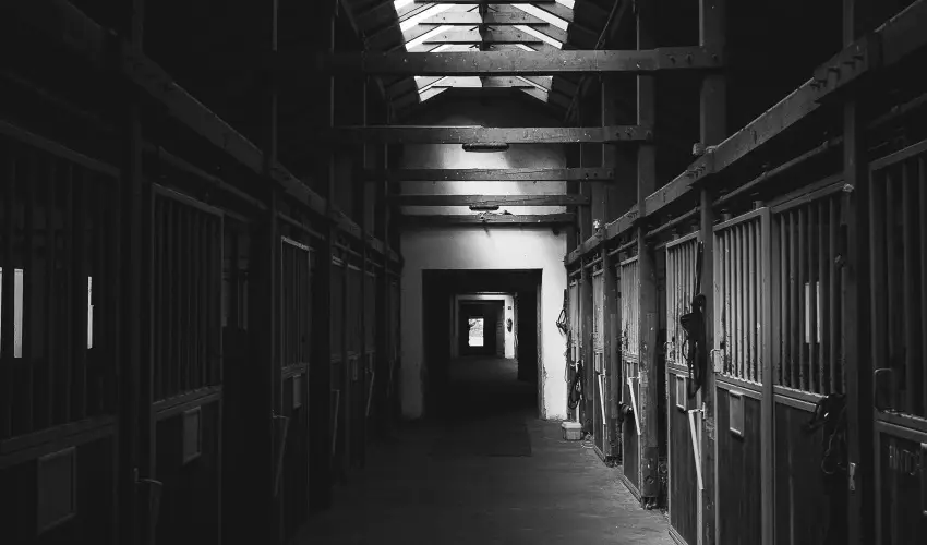 Htkti Wellness Hotel & Lovaspark Mr - Karcsony 