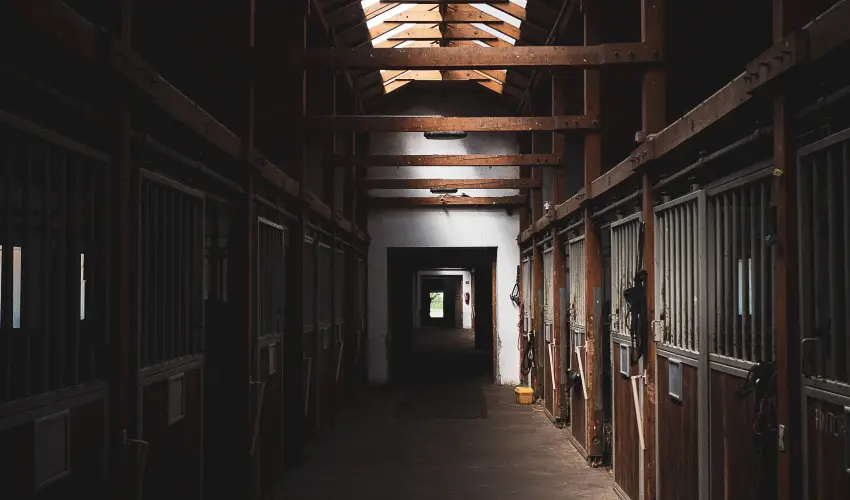 H�tk�ti Wellness Hotel & Lovaspark M�r - Kar�csony 