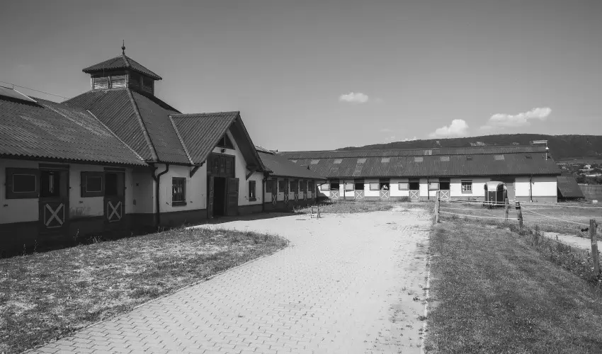 Htkti Wellness Hotel & Lovaspark Mr - Karcsony 