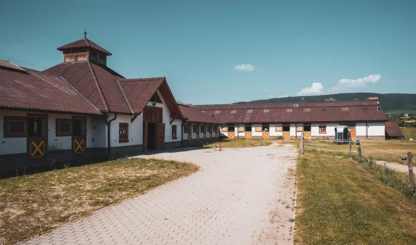 H�tk�ti Wellness Hotel & Lovaspark M�r - Kar�csony 