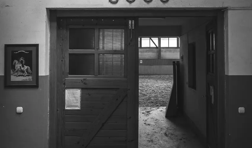 Htkti Wellness Hotel & Lovaspark Mr - Karcsony 