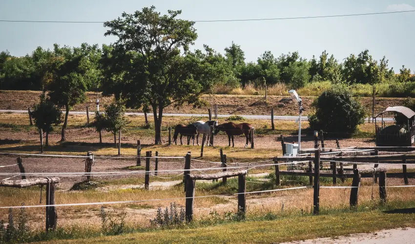 H�tk�ti Wellness Hotel & Lovaspark M�r - Kar�csony 