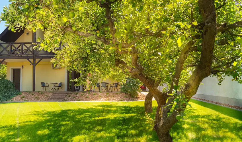 Honti Panzi Visegrd - Karcsony (min. 3 j)